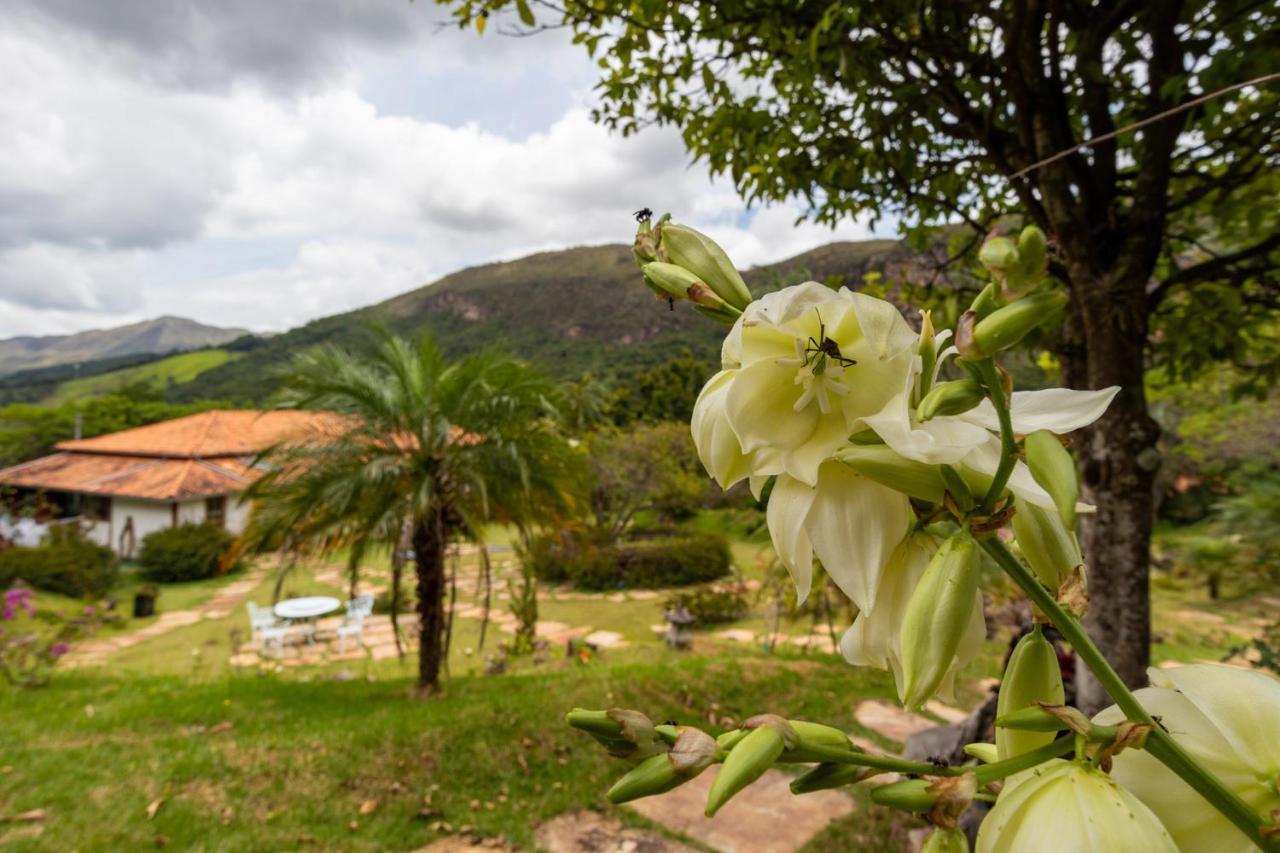 Altamira Eco Retreat Hotel Екстериор снимка